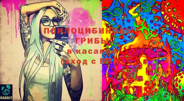 бошки Заволжье