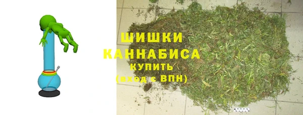 винт Ельня
