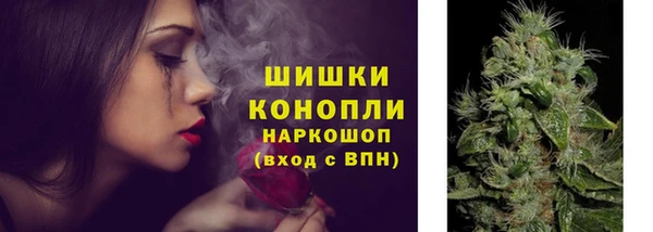 ECSTASY Елизово