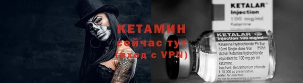 шишки Заводоуковск
