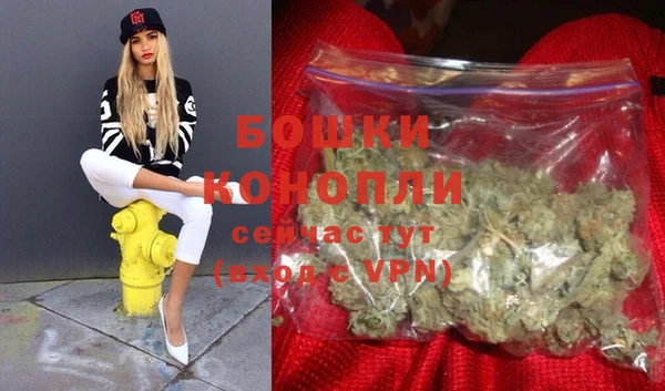 винт Ельня