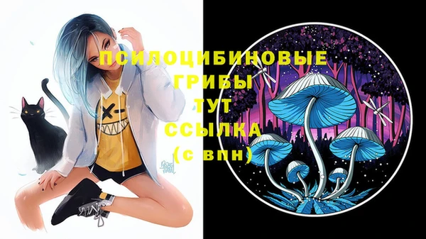 ECSTASY Елизово