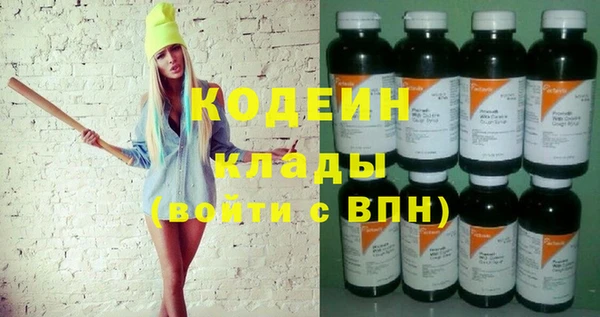 шишки Заводоуковск