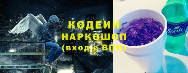 винт Ельня