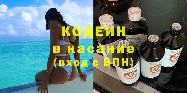 шишки Заводоуковск