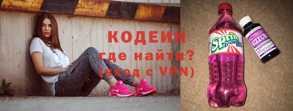 шишки Заводоуковск