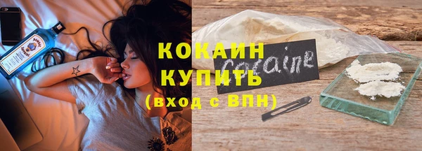 шишки Заводоуковск