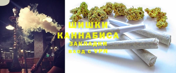 шишки Заводоуковск