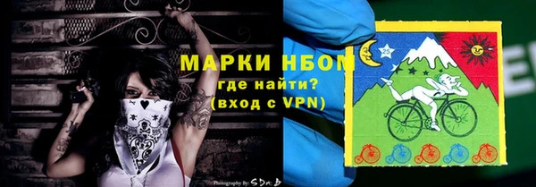 шишки Заводоуковск