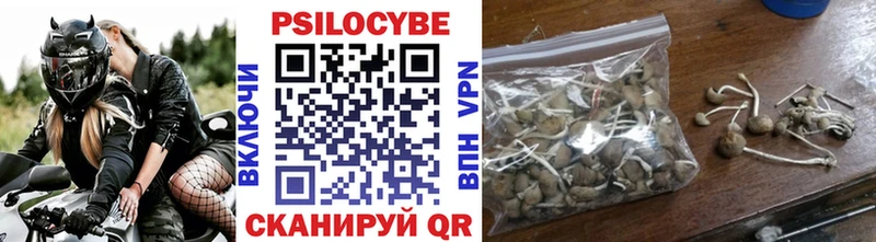 Галлюциногенные грибы мицелий  наркошоп  Калач 